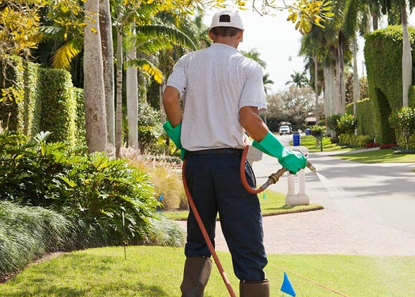 About Crompond NY Pest Control